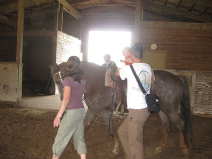 Olivia Riding Horse2
